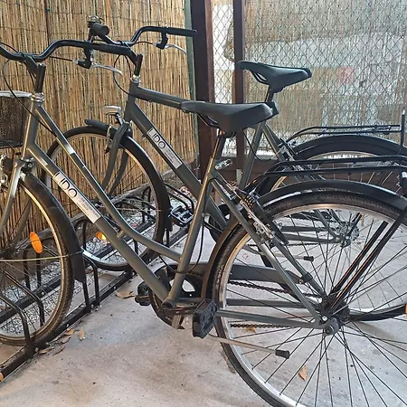 Rigel Hotel Venezia Lido